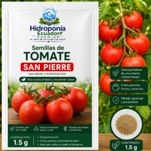 Semillas de tomate san Pierre