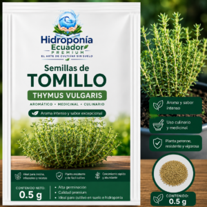 Semillas de tomillo