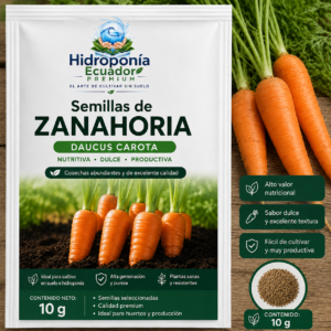 Semillas de zanahoria