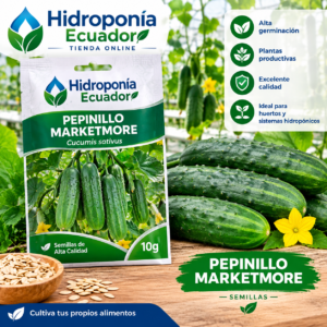 Semillas de pepinillo marketmore