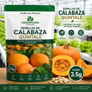 Semillas de Calabaza Quintale