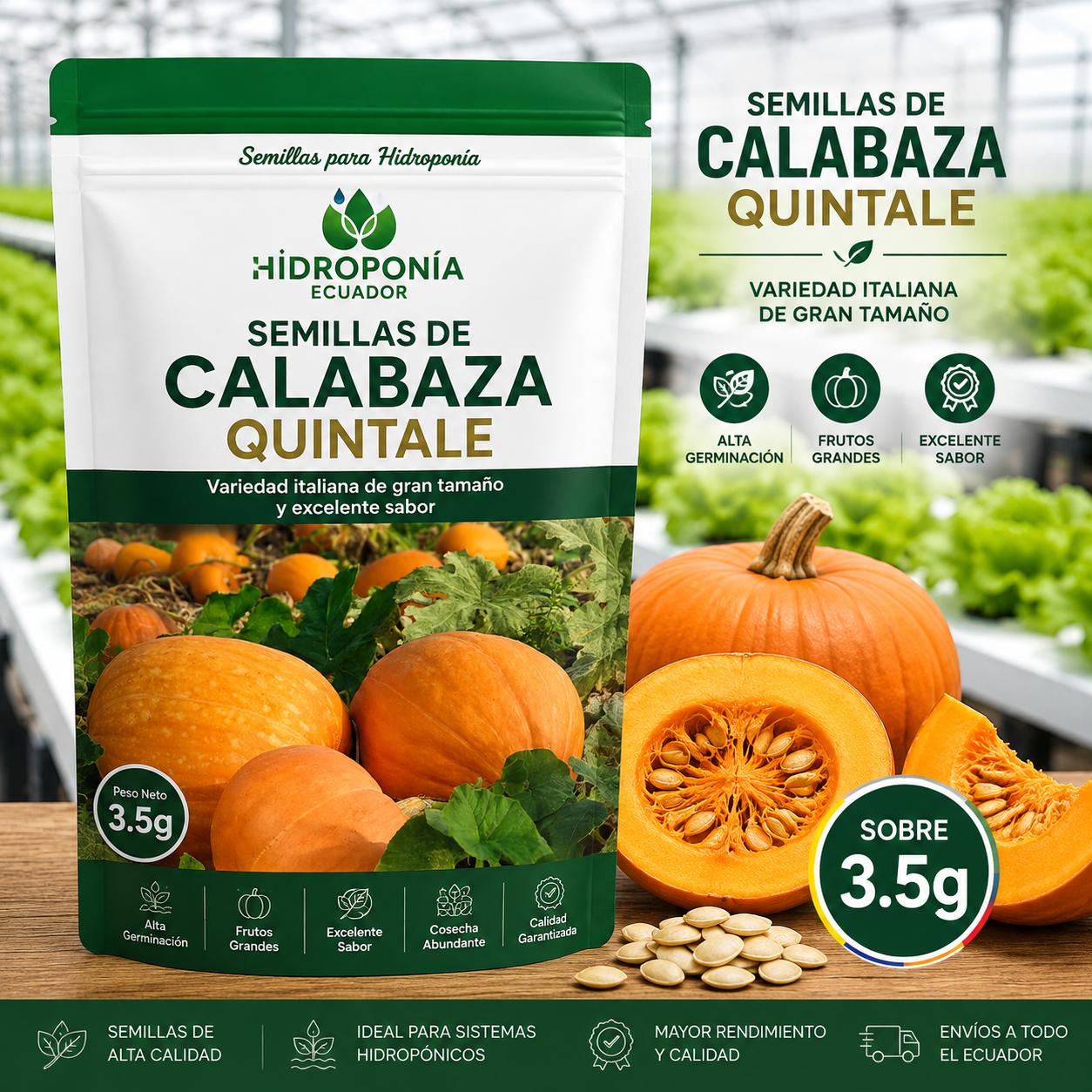 Semillas de Calabaza Quintale