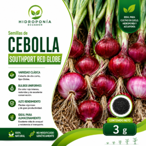 semillas de cebolla southport red globe
