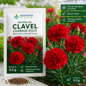 Semillas de clavel chabaud rojo
