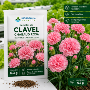 Semillas de clavel chabaud rosa