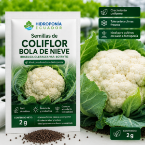 Semillas de Coliflor Bola de Nieve