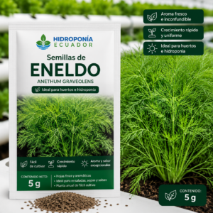 Semillas de eneldo