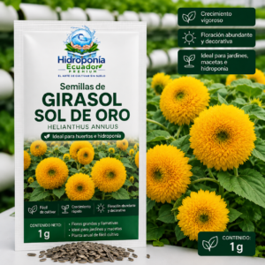 Semillas de Girasol Sol de oro