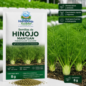 Semillas de Hinojo Mantuan