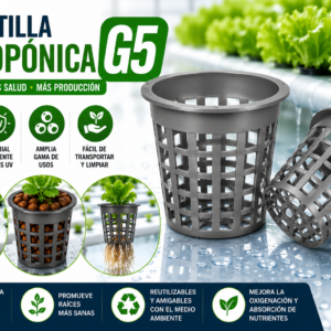 Canastilla G5