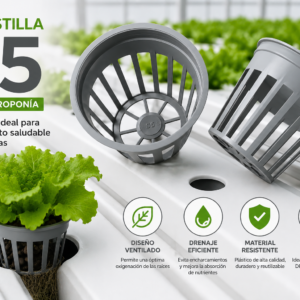 Canastilla S5