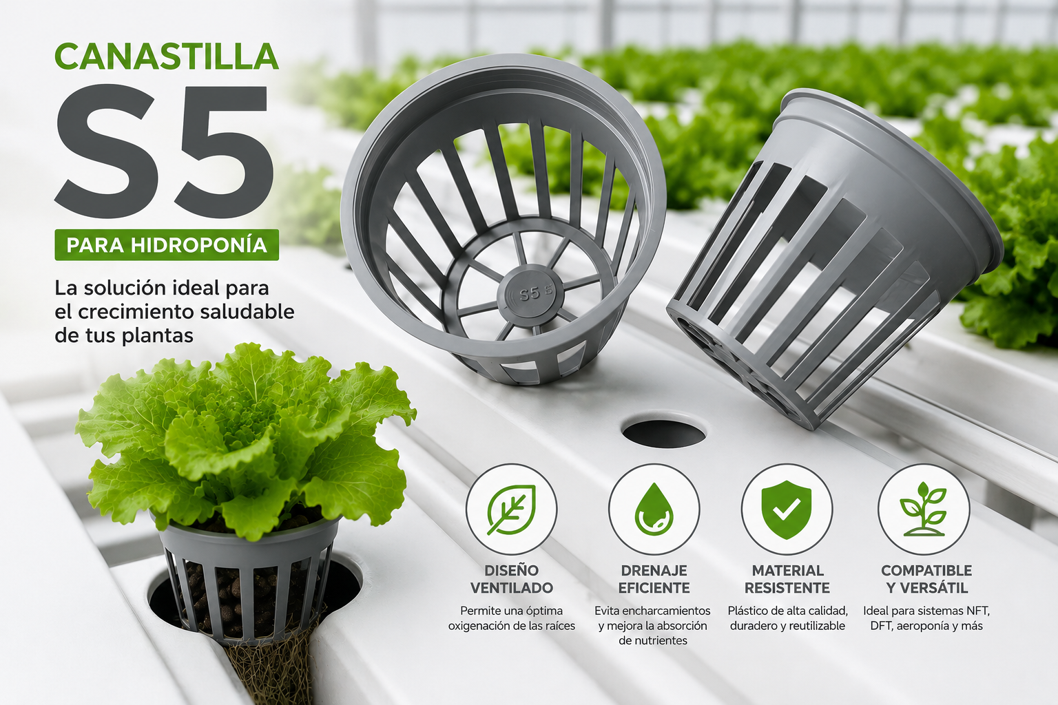 Canastilla S5