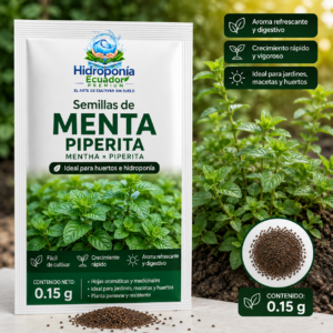 Semillas de Menta Piperita