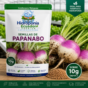 Semillas de papanabo