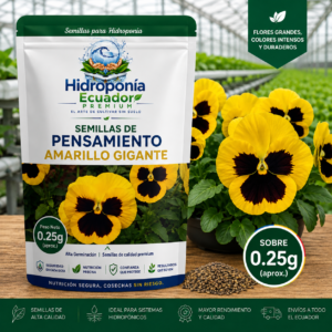Semillas de Pensamiento amarillo gigante
