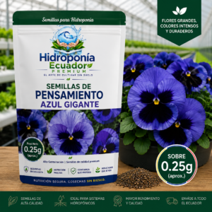 Semillas de Pensamiento azul gigante
