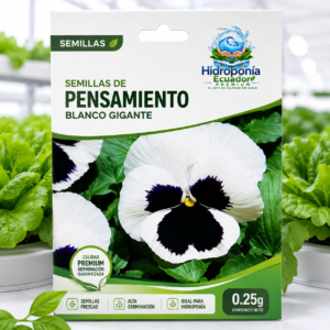 Semillas de Pensamiento blanco gigante