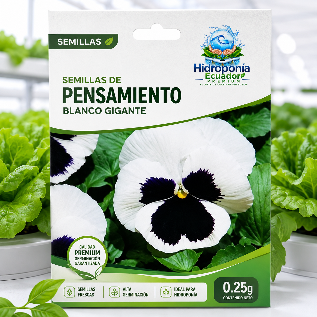 Semillas de Pensamiento blanco gigante