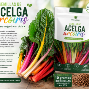 Semillas de acelga arcoiris