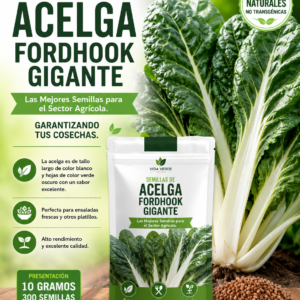 Semillas de acelga fordhook gigante