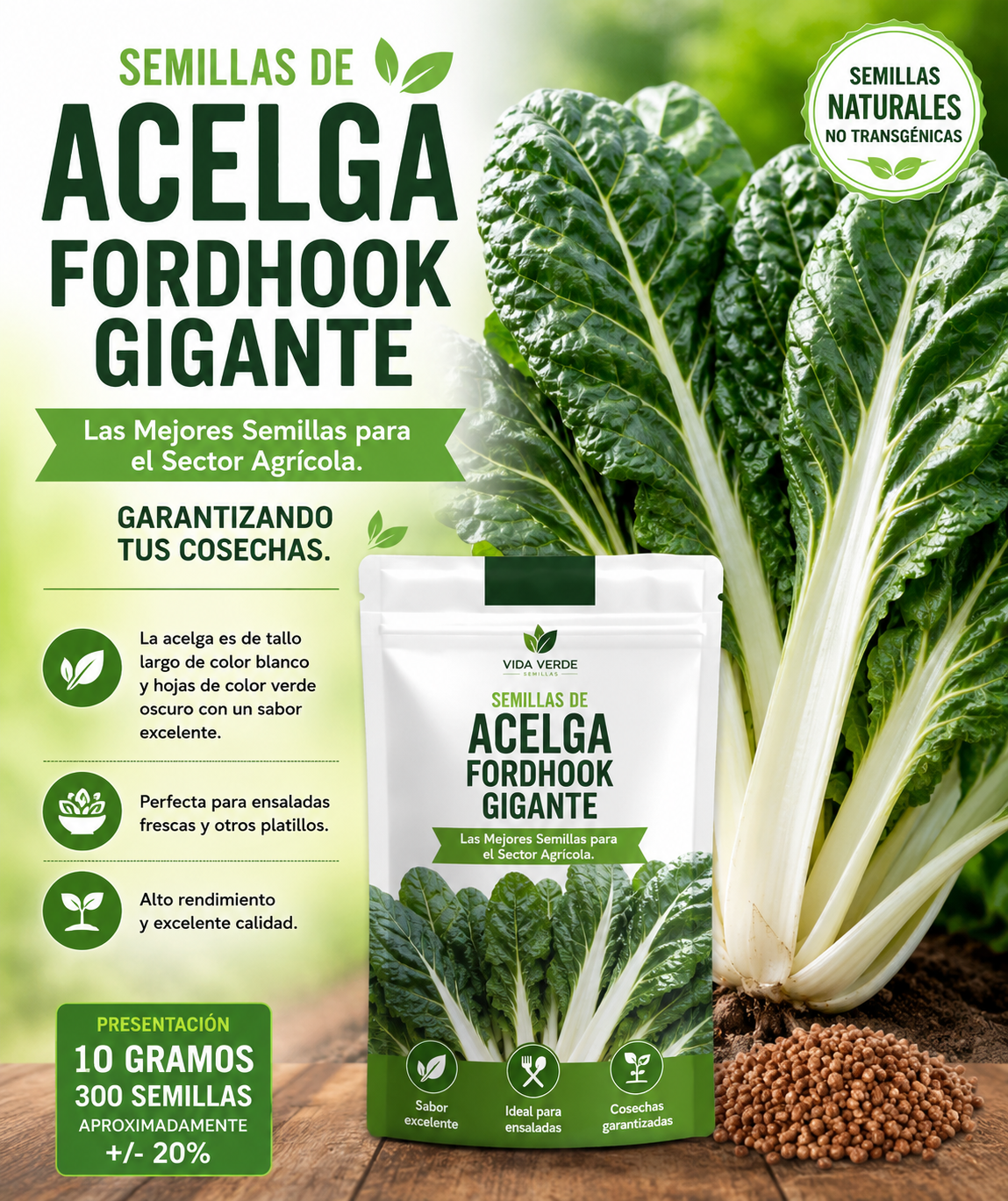 Semillas de acelga fordhook gigante