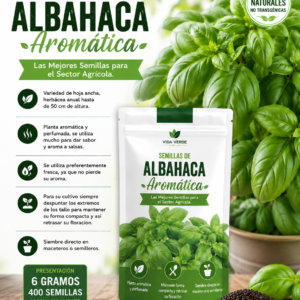 Semillas de albahaca aromática