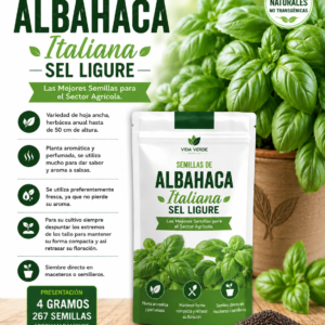 Semillas De Albahaca Italiana Sel Ligure