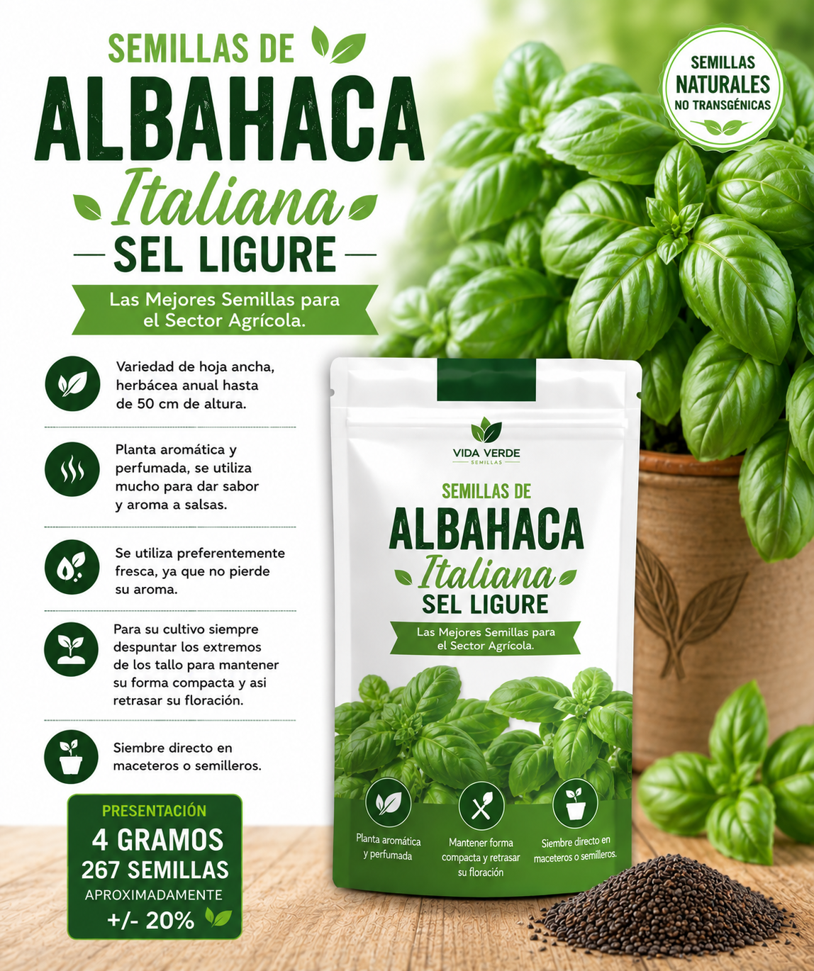 Semillas De Albahaca Italiana Sel Ligure