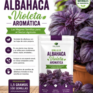 Semillas de albahaca violeta aromática