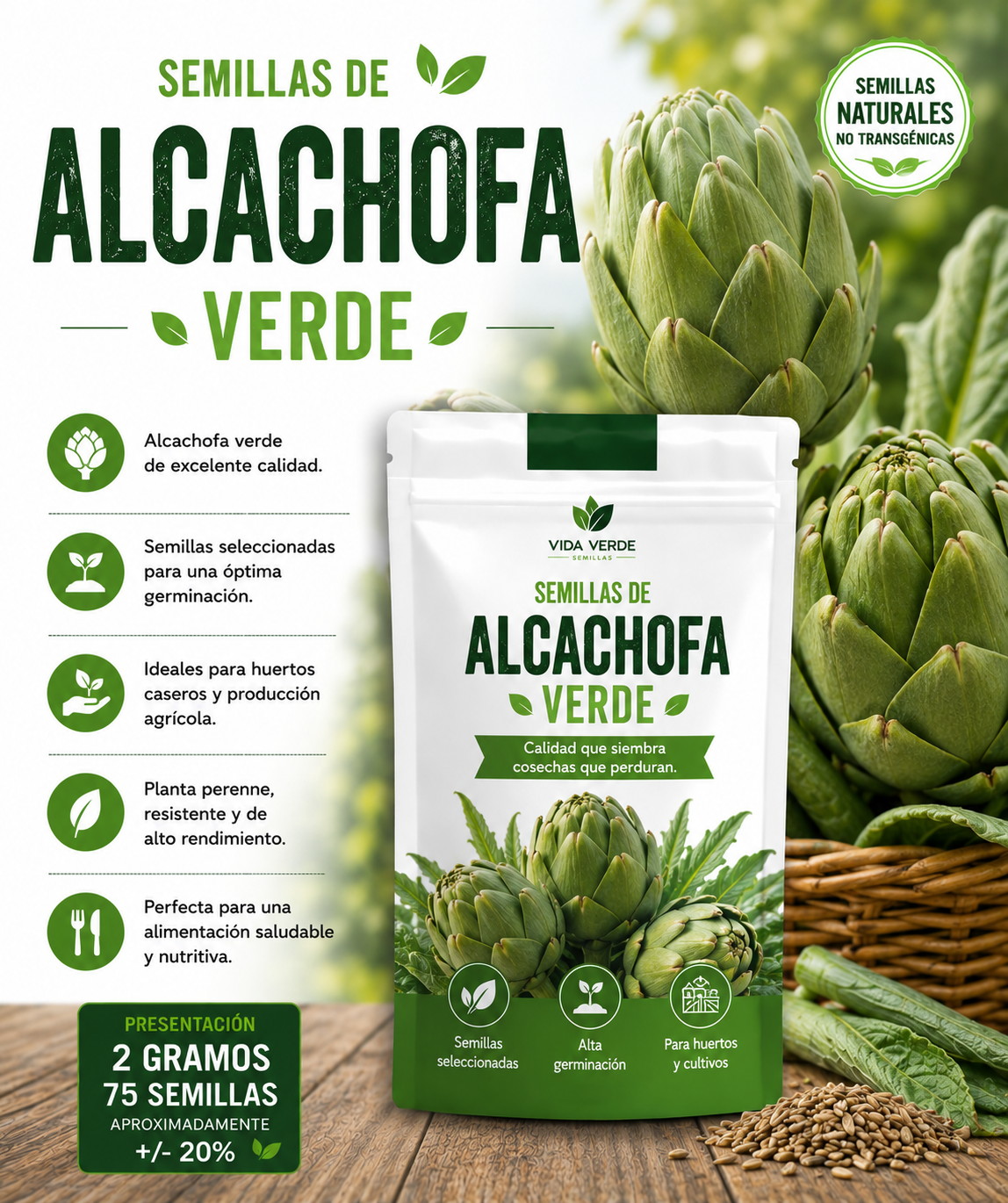 Semillas de alcachofa verde