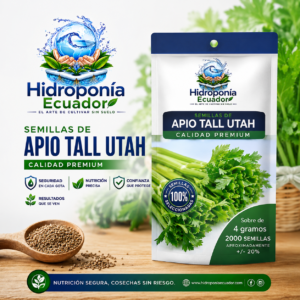 Semillas de apio tall utah