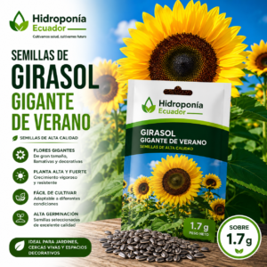 Semillas de Girasol Gigante de Verano