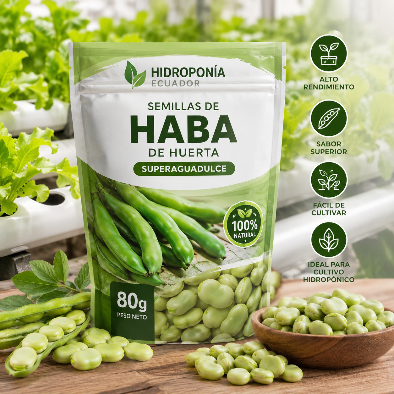 Semillas de Haba de huerta superaguadulce
