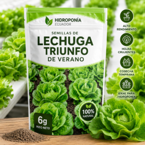Semillas de Lechuga Triunfo de Verano