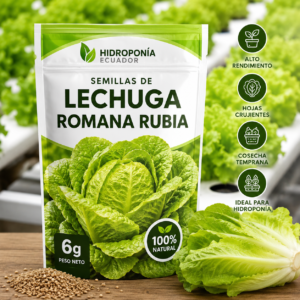 Semillas de lechuga romana rubia