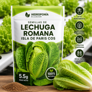 Semillas de lechuga romana isla de Paris Cos