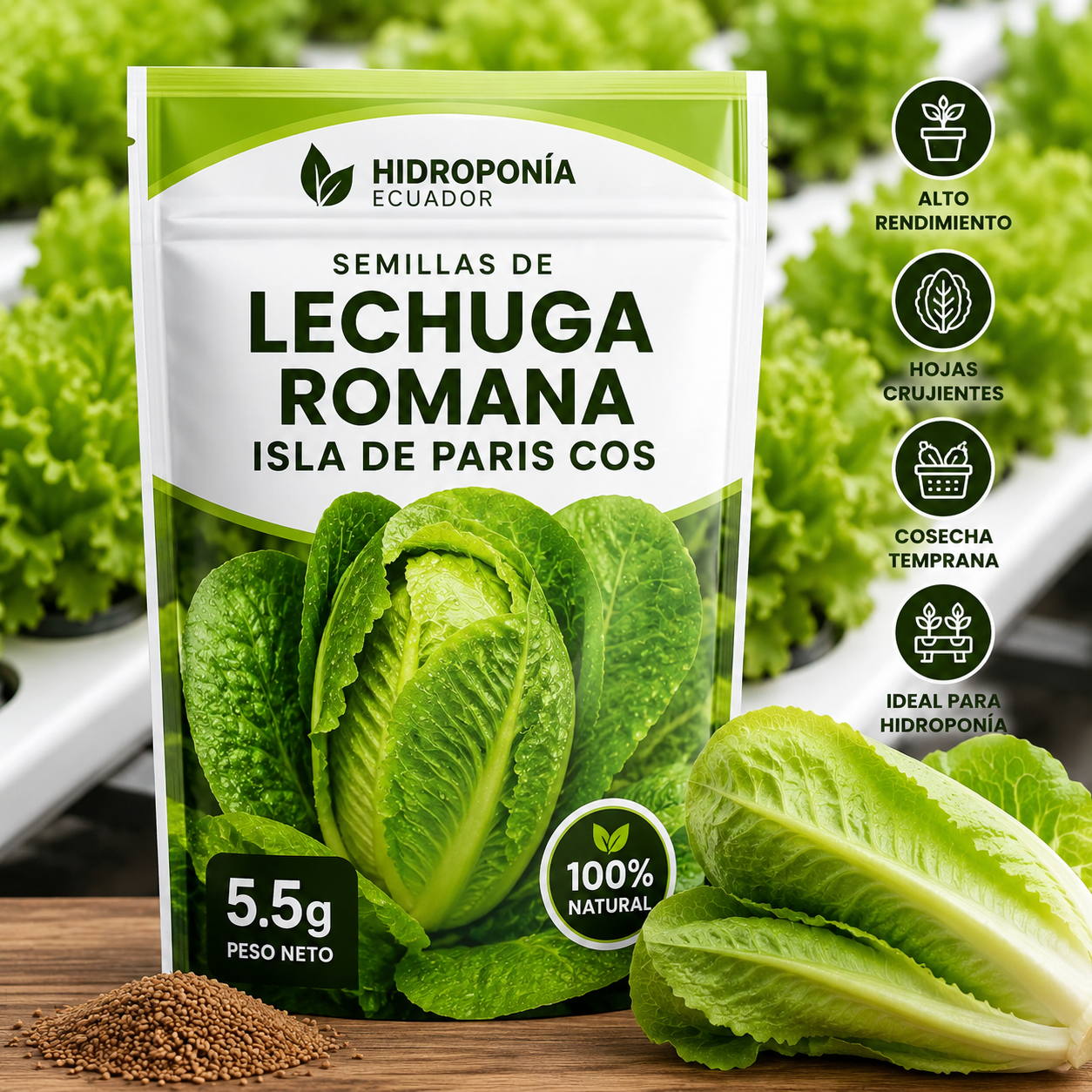 Semillas de lechuga romana isla de Paris Cos