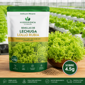 Semillas de lechuga lollo rubia