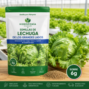 Semillas de lechuga de los Grandes Lagos