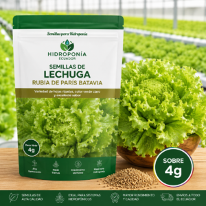 Semillas de lechuga rubia de París batavia
