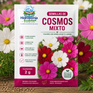 Semillas de cosmos mixto