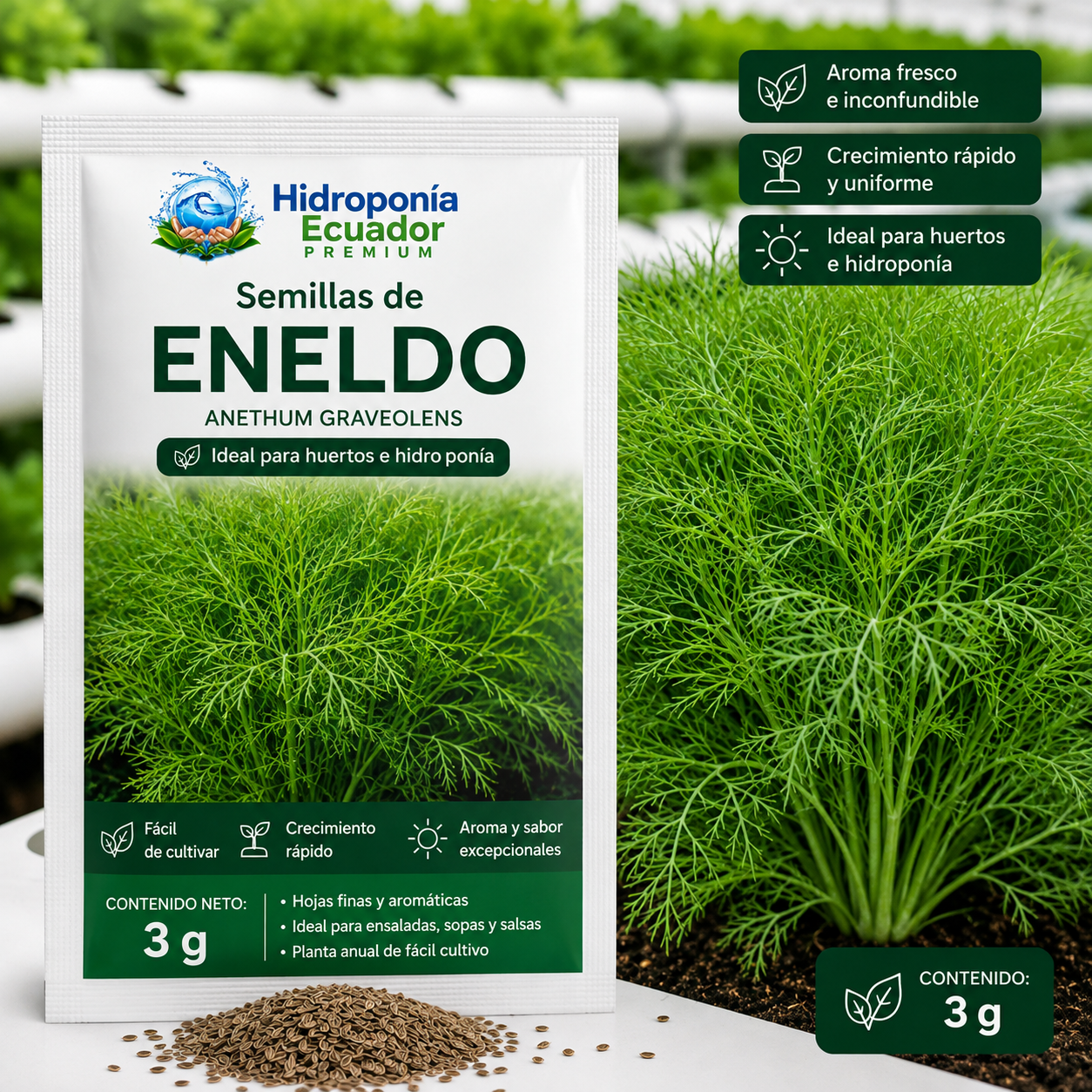 Semillas de eneldo