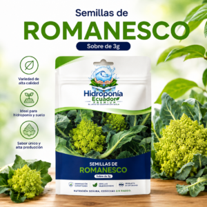 Semillas de Romanesco
