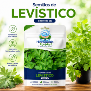 Semillas de Levístico
