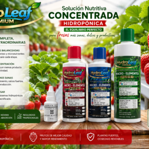 Solución nutritiva para fresas