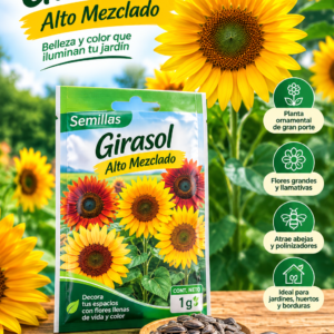 Semillas de Girasol alto mezclado