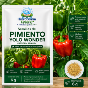 Semillas de pimiento Yolo Wonder
