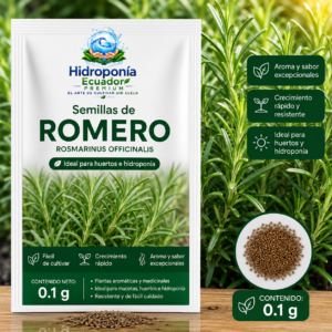 Semillas de Romero