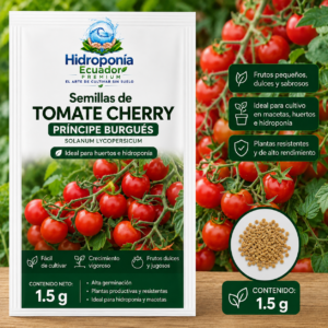 semillas de tomate cherry príncipe burgués