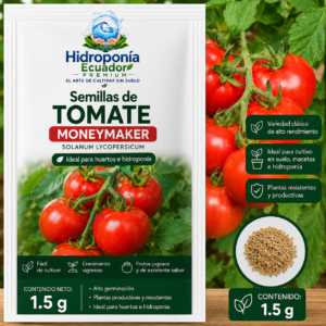 Semillas de Tomate Moneymaker